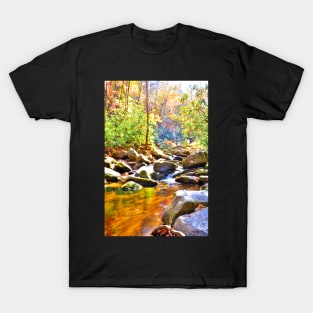 Silky Creek T-Shirt